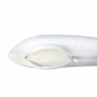 Almohada viscoelástica VISCO PREMIUM